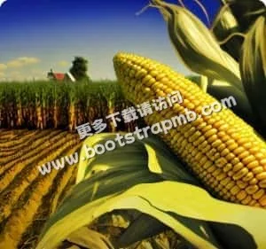 打造卓越的赛事信息服务 - 欧亿体育